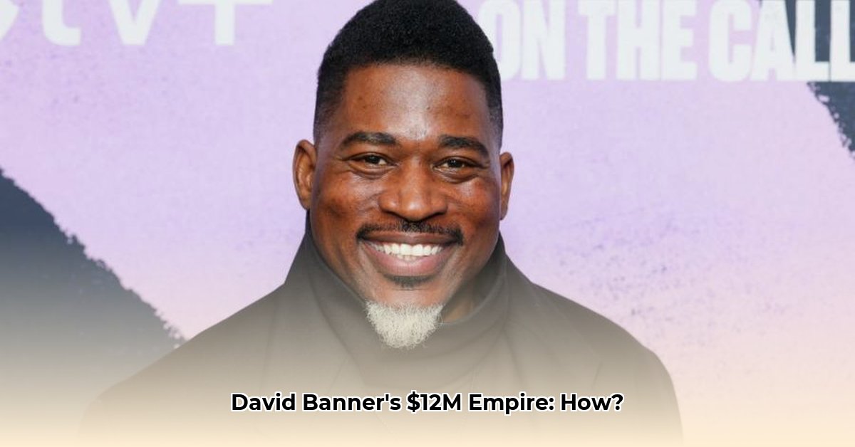 rapper-david-banner-net-worth